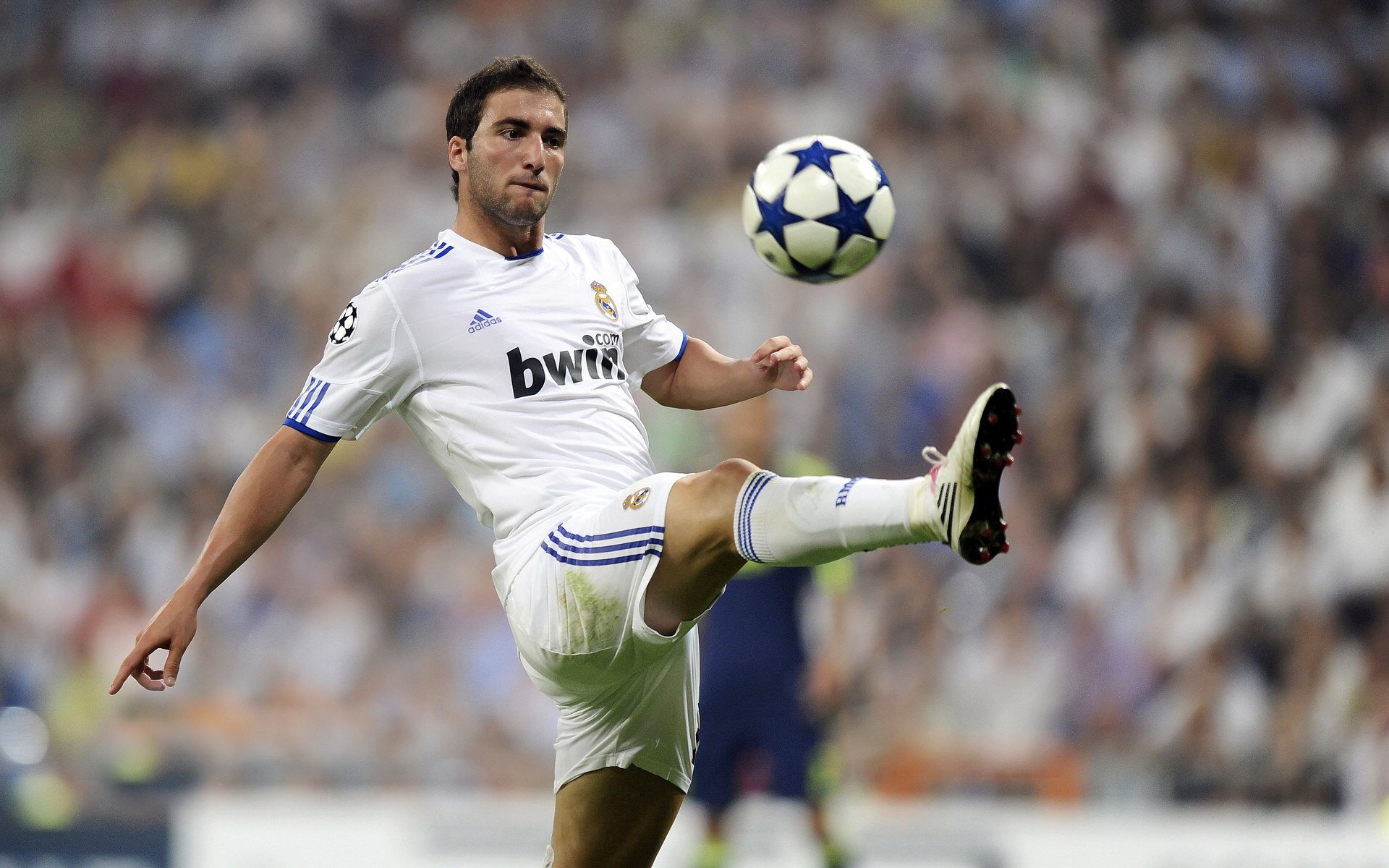 樊振东彰显风度，对手称“我完全没胜算”