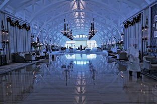 电竞选手如何在退役后保持行业影响力，电竞选手退役以后干什么